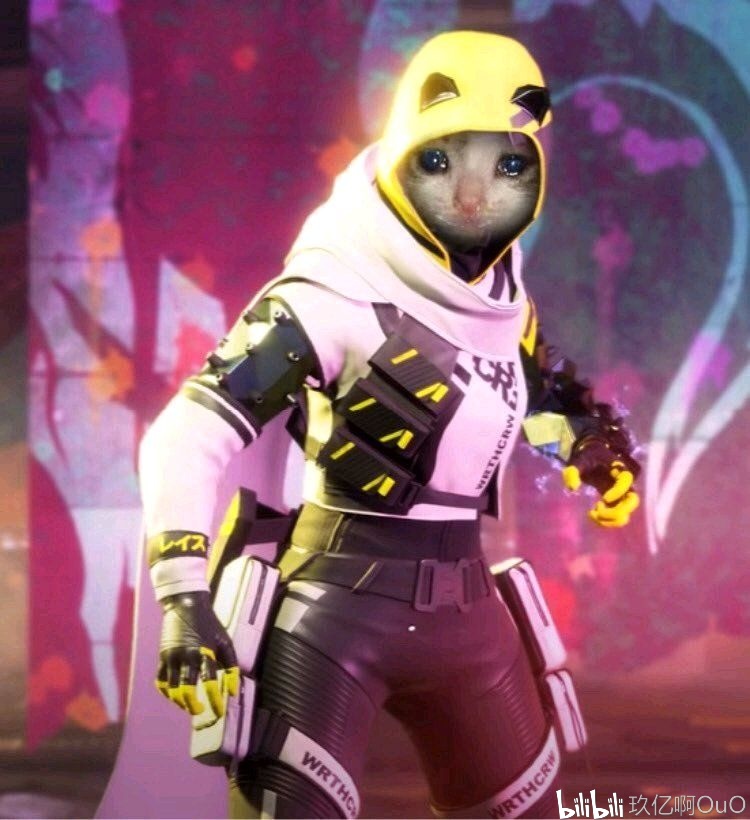 你的策略会 你的策略会